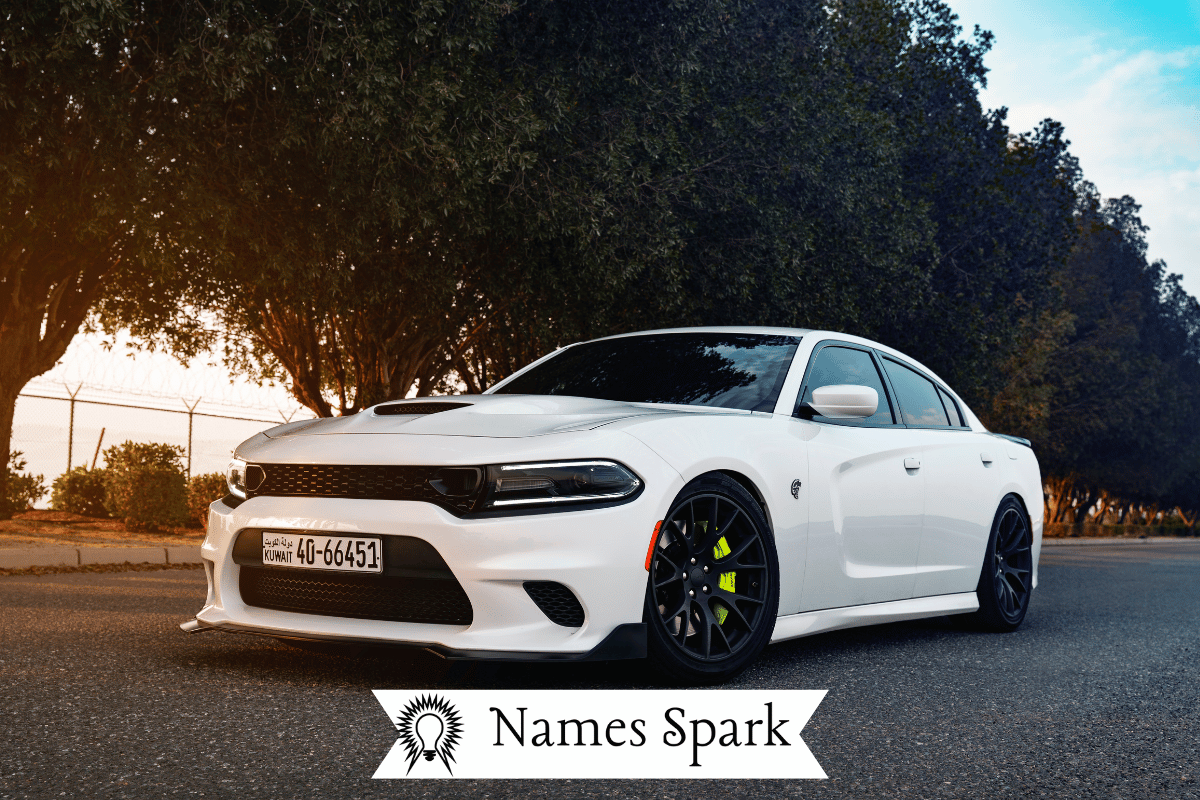250+ Cute & Funny Nickname For Car | Names Spark