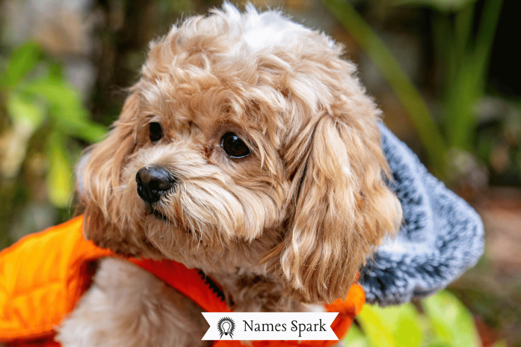 250+ Cute & Catchy Otter Names For Your Cool Companion