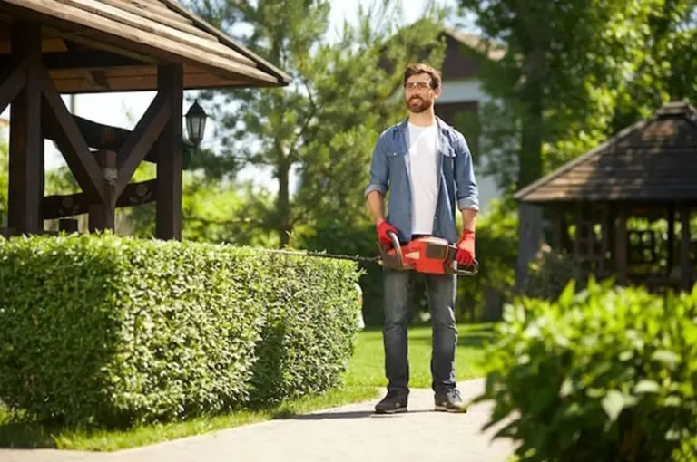5 Reasons You Should Invest In Lawn Care and Maintenance Services in Spring