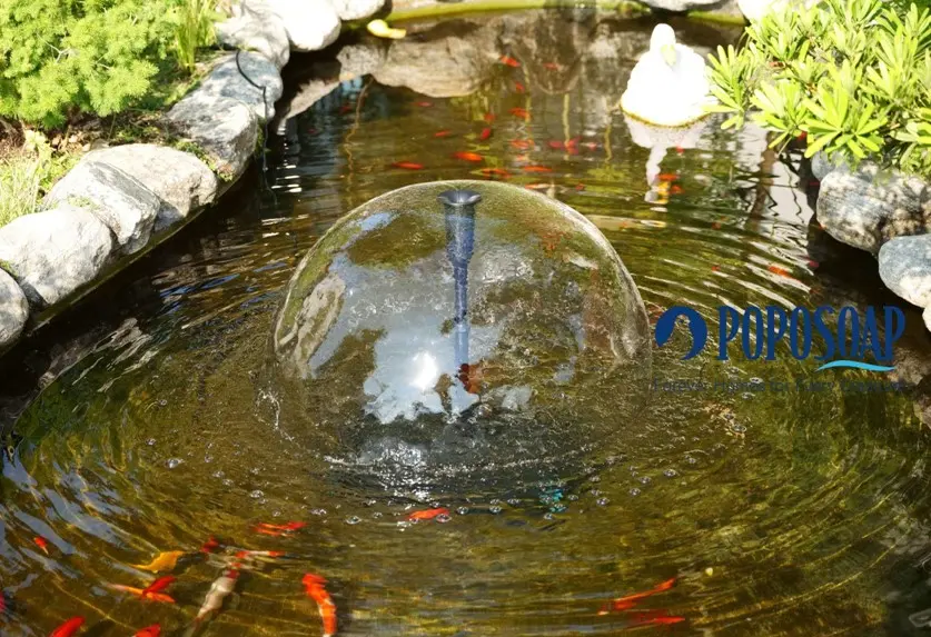 Recreational Ponds Your Complete Guide to Backyard Leisure and Natural Beauty