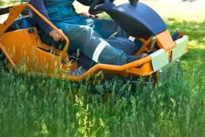 The Benefits of a Lawn Care Plan Customized to Your Soil and Grass Type