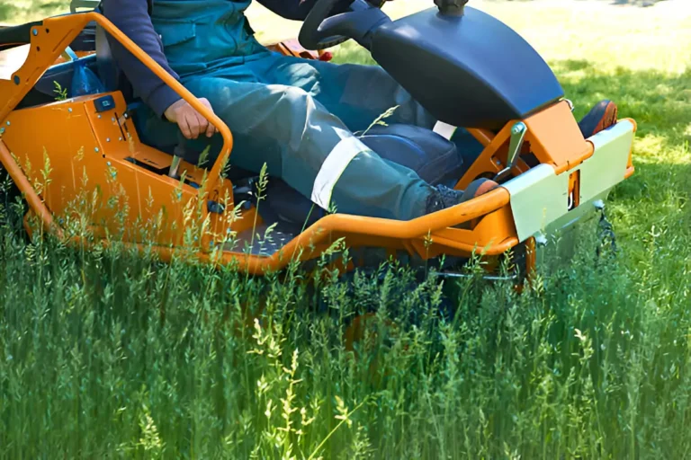 The Benefits of a Lawn Care Plan Customized to Your Soil and Grass Type