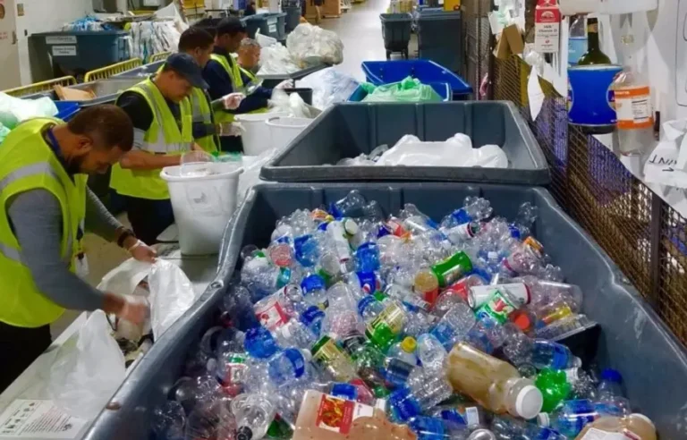 How Efficient Recycling and Commercial Trash Pickup Elevate Business Operations