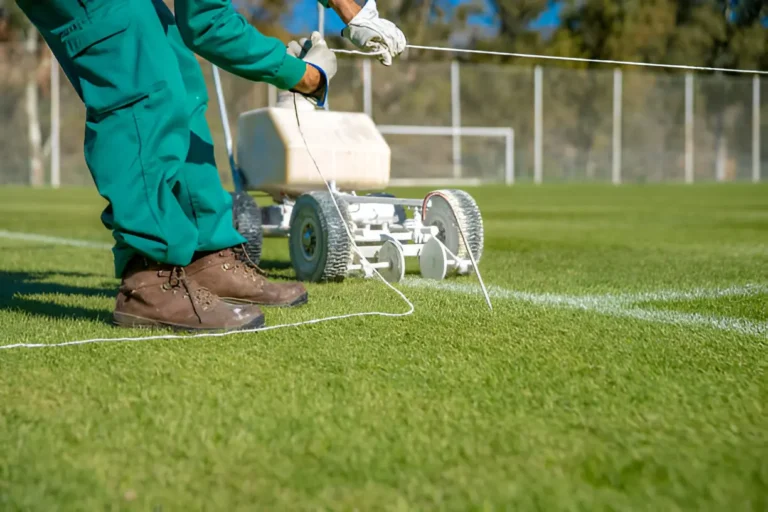 Seasonal Care Tips for Outdoor Turf Fields